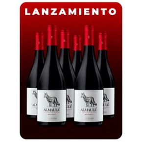 Nunc congue dui nec...